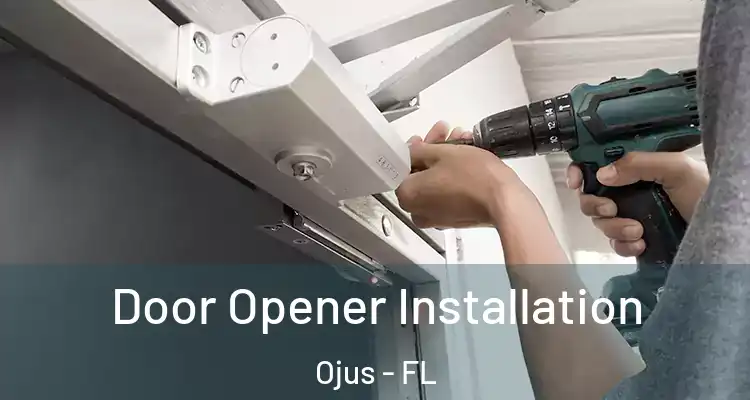  Door Opener Installation Ojus - FL