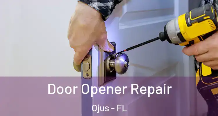  Door Opener Repair Ojus - FL