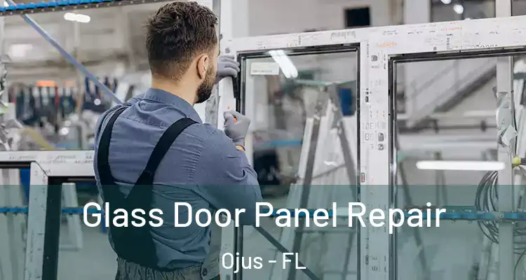  Glass Door Panel Repair Ojus - FL