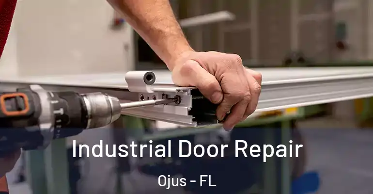  Industrial Door Repair Ojus - FL