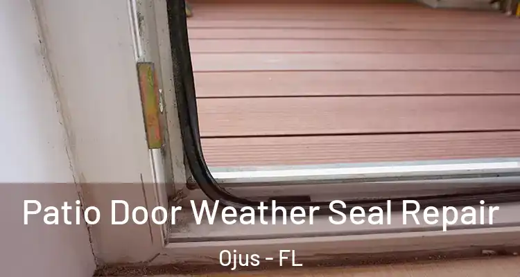  Patio Door Weather Seal Repair Ojus - FL