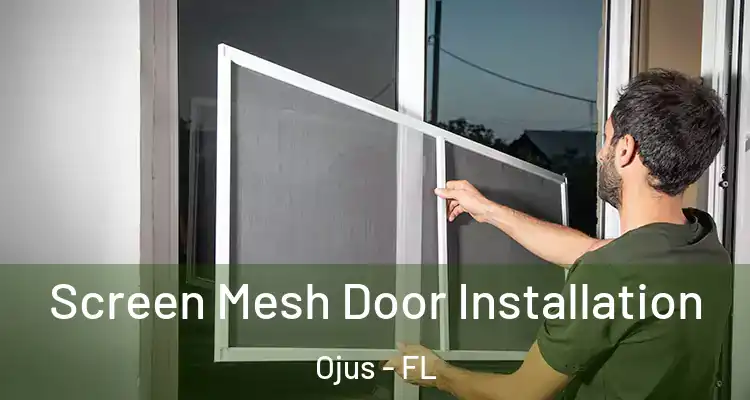  Screen Mesh Door Installation Ojus - FL