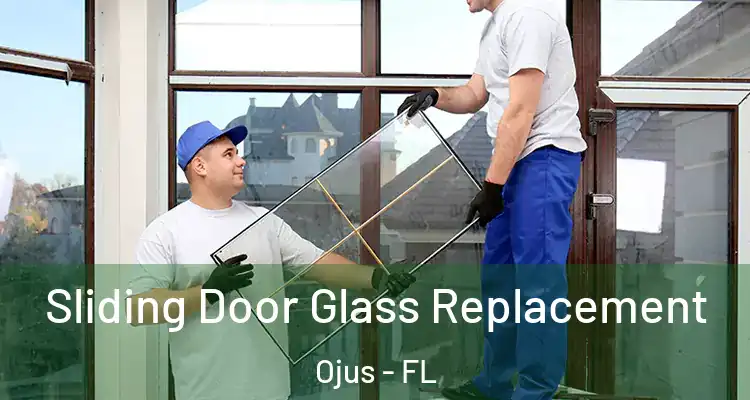  Sliding Door Glass Replacement Ojus - FL