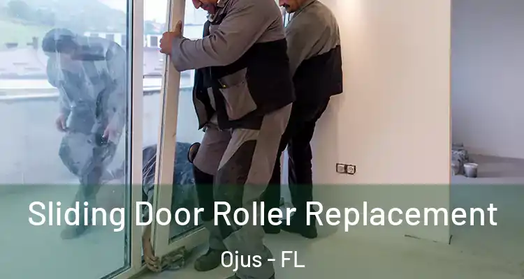  Sliding Door Roller Replacement Ojus - FL